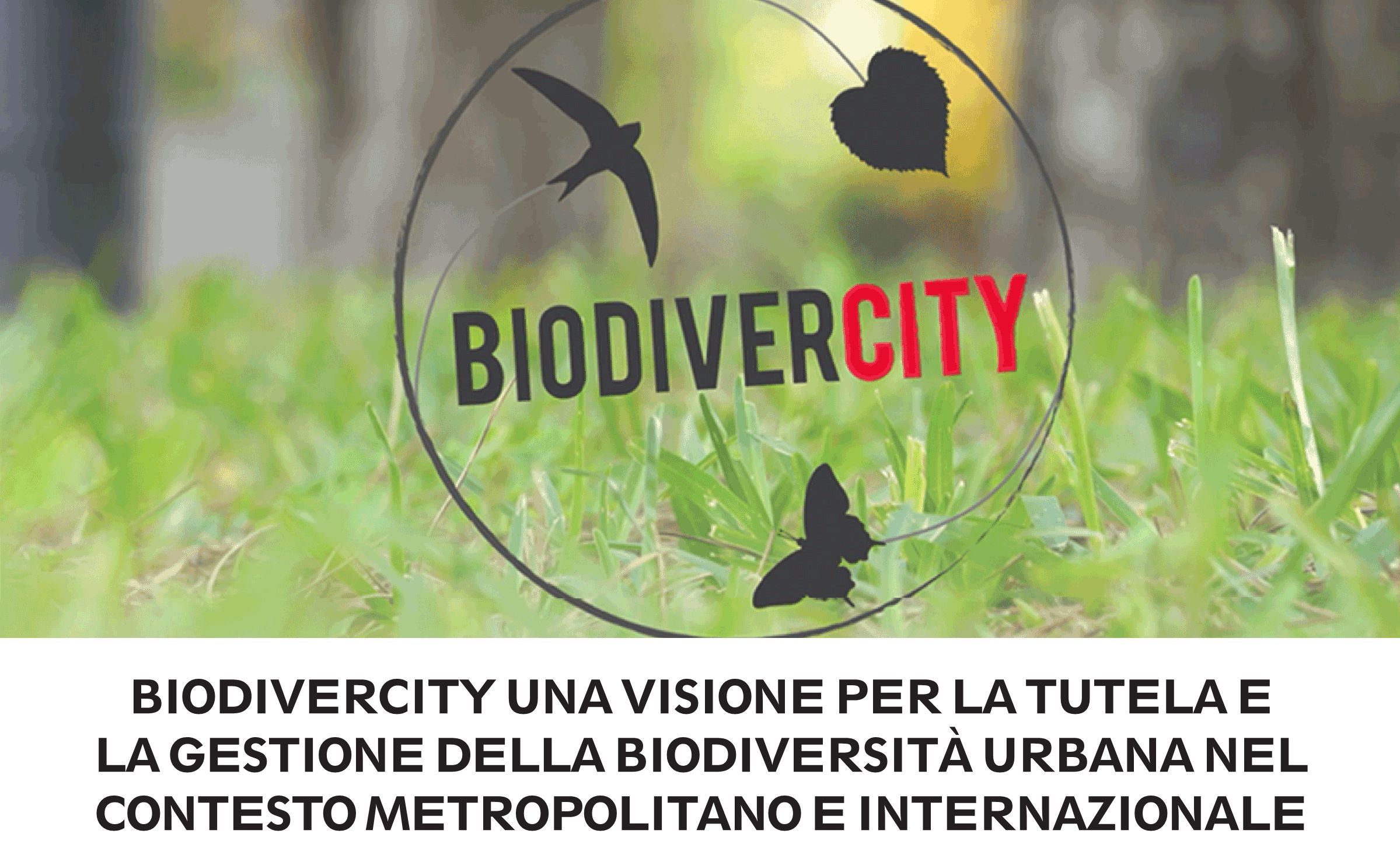 Biodivercity - tutela della biodiversità urbana